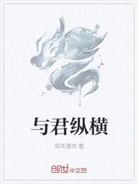 与君纵横封面