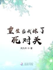 甜妻狂想娶：总裁翻墙来封面