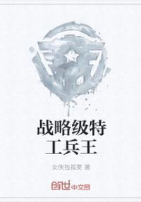 战略级特工兵王封面