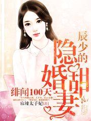 绯闻100天：辰少的隐婚甜妻封面