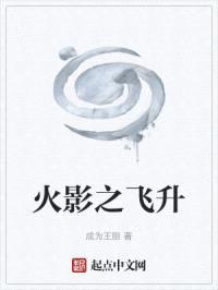 火影之飞升封面
