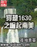 穿越1630之崛起南美封面