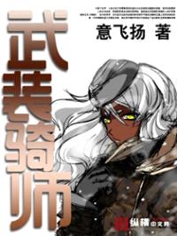 武装骑师封面