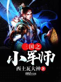 三国之小军师封面