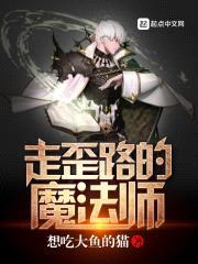 走歪路的魔法师封面