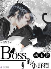 重生之boss的小野猫封面