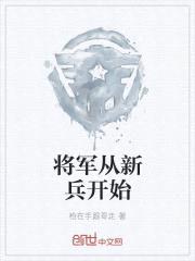 将军从新兵开始封面