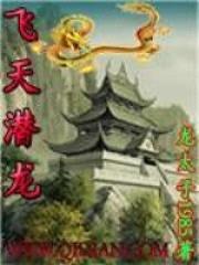 飞天潜龙封面