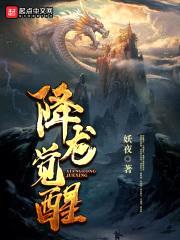 降龙觉醒封面