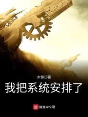 我把系统安排了封面