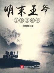 明末王爷之系统在手封面