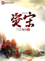 资宋封面