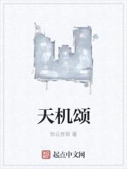 天机颂封面