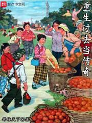 重生过去当传奇封面