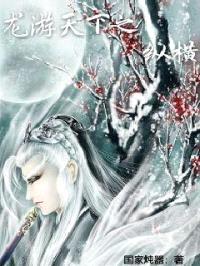 龙游天下之纵横封面