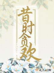 昔时贪欢封面