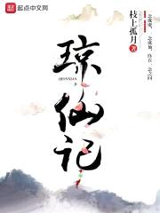 琼仙记封面