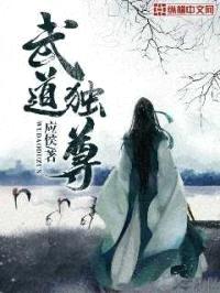 武道独尊封面