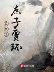 红楼之庶子贾环封面