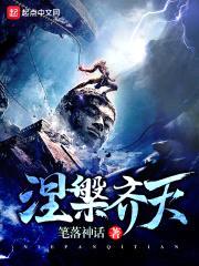 涅槃齐天封面