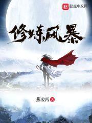 修炼风暴封面
