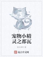 宠物小精灵之都瓦封面