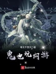 鬼也玩网游封面
