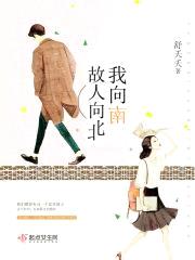 故人向北我向南封面