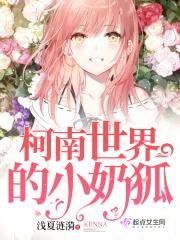 柯南世界的小奶狐封面