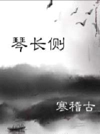 青山无弦之琴长侧封面