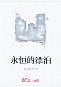 永恒的漂泊封面