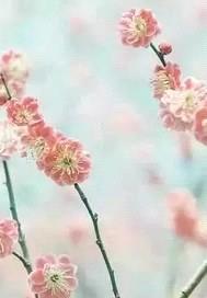 最强炸天系统封面