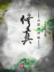 修真从武侠开始封面