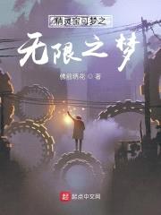 精灵宝可梦之无限之梦封面