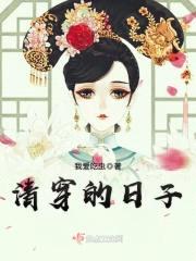 清穿的日子封面