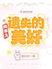 网游之遗失的美好封面