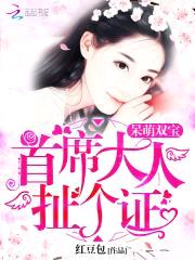 呆萌双宝：首长大人的惹火妻封面