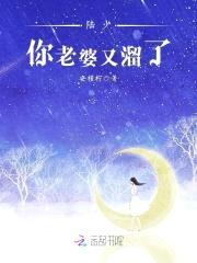 甜妻引入怀：陆少，请慢撩封面