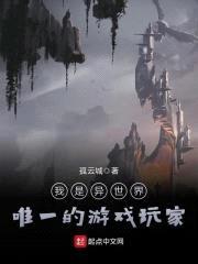 我是异世界唯一的游戏玩家封面