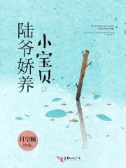陆爷娇养小宝贝封面