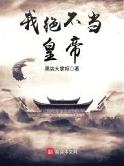 我绝不当皇帝封面