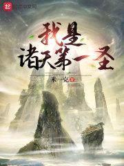 我是诸天第一圣封面
