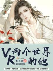 VR两个世界的他封面