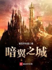暗翼之城封面