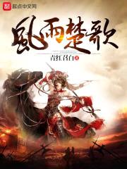 风雨楚歌封面