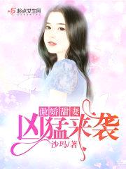 傲娇甜妻凶猛来袭封面