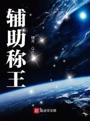 辅助称王封面