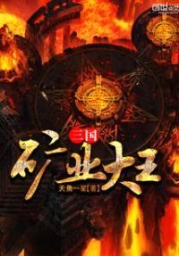 三国矿业大王封面