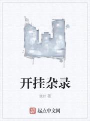 开挂杂录封面