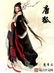 唐狐封面